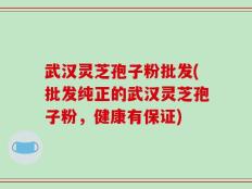 武汉灵芝孢子粉批发(批发纯正的武汉灵芝孢子粉，健康有保证)