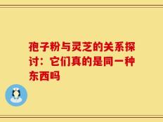 孢子粉与灵芝的关系探讨：它们真的是同一种东西吗