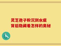 灵芝孢子粉沉到水底 背后隐藏着怎样的奥秘