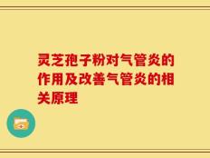 灵芝孢子粉对气管炎的作用及改善气管炎的相关原理