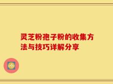 灵芝粉孢子粉的收集方法与技巧详解分享