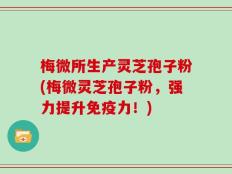 梅微所生产灵芝孢子粉(梅微灵芝孢子粉，强力提升免疫力！)