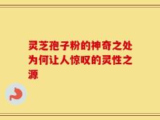 灵芝孢子粉的神奇之处为何让人惊叹的灵性之源