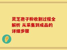 灵芝孢子粉收割过程全解析 从采集到成品的详细步骤