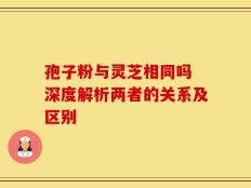 孢子粉与灵芝相同吗 深度解析两者的关系及区别