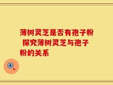 薄树灵芝是否有孢子粉 探究薄树灵芝与孢子粉的关系