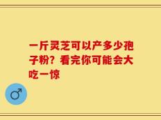 一斤灵芝可以产多少孢子粉？看完你可能会大吃一惊