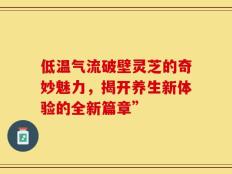 低温气流破壁灵芝的奇妙魅力，揭开养生新体验的全新篇章”
