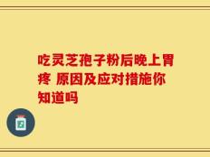 吃灵芝孢子粉后晚上胃疼 原因及应对措施你知道吗