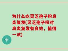 为什么吃灵芝孢子粉鼻炎复发(灵芝孢子粉对鼻炎复发有良效，值得一试)