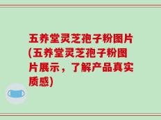 五养堂灵芝孢子粉图片(五养堂灵芝孢子粉图片展示，了解产品真实质感)