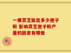 一棵灵芝能出多少孢子粉 影响灵芝孢子粉产量的因素有哪些