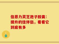 倍恩力灵芝孢子胶囊：提升的佳伴侣，看看它到底有多