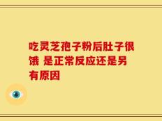 吃灵芝孢子粉后肚子很饿 是正常反应还是另有原因