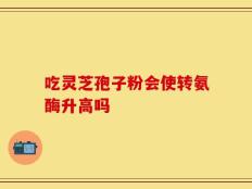 吃灵芝孢子粉会使转氨酶升高吗