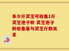 多少斤灵芝可收集1斤灵芝孢子粉 灵芝孢子粉收集量与灵芝斤数关系