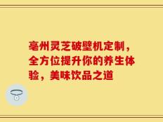 亳州灵芝破壁机定制，全方位提升你的养生体验，美味饮品之道
