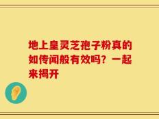 地上皇灵芝孢子粉真的如传闻般有效吗？一起来揭开