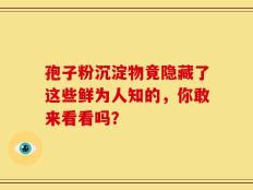 孢子粉沉淀物竟隐藏了这些鲜为人知的，你敢来看看吗？
