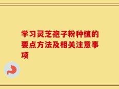 学习灵芝孢子粉种植的要点方法及相关注意事项