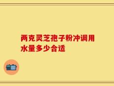 两克灵芝孢子粉冲调用水量多少合适