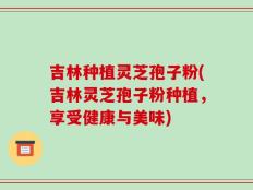 吉林种植灵芝孢子粉(吉林灵芝孢子粉种植，享受健康与美味)