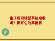 孢子粉没破壁真能吸收吗？揭开它的真面目
