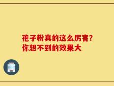 孢子粉真的这么厉害？你想不到的效果大