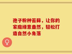 孢子粉种苔藓，让你的家庭绿意盎然，轻松打造自然小角落