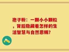 孢子粉：一颗小小颗粒，背后隐藏着怎样的生活智慧与自然恩赐？