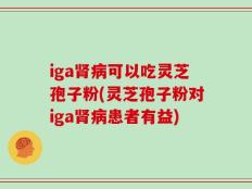 iga肾病可以吃灵芝孢子粉(灵芝孢子粉对iga肾病患者有益)