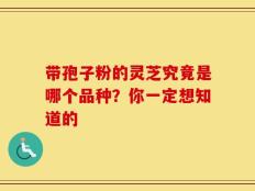 带孢子粉的灵芝究竟是哪个品种？你一定想知道的