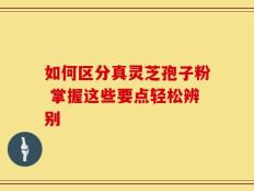 如何区分真灵芝孢子粉 掌握这些要点轻松辨别