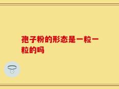 孢子粉的形态是一粒一粒的吗