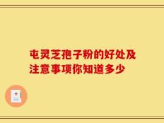 屯灵芝孢子粉的好处及注意事项你知道多少