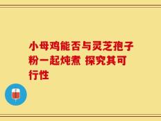 小母鸡能否与灵芝孢子粉一起炖煮 探究其可行性
