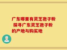 广东哪里有灵芝孢子粉 探寻广东灵芝孢子粉的产地与购买地