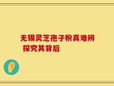 无锡灵芝孢子粉真难辨 探究其背后
