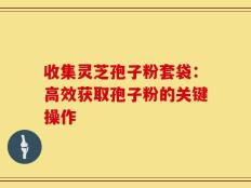 收集灵芝孢子粉套袋：高效获取孢子粉的关键操作