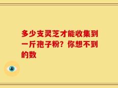 多少支灵芝才能收集到一斤孢子粉？你想不到的数