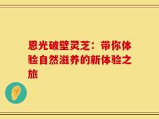 恩光破壁灵芝：带你体验自然滋养的新体验之旅