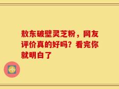 敖东破壁灵芝粉，网友评价真的好吗？看完你就明白了