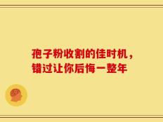 孢子粉收割的佳时机，错过让你后悔一整年