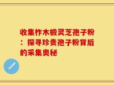 收集柞木椴灵芝孢子粉：探寻珍贵孢子粉背后的采集奥秘