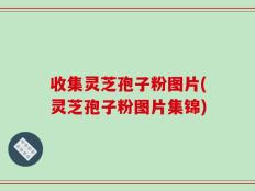 收集灵芝孢子粉图片(灵芝孢子粉图片集锦)