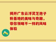 揭开广东云浮灵芝孢子粉基地的美味与奇趣，带你领略不一样的风味体验