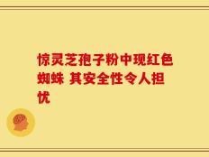 惊灵芝孢子粉中现红色蜘蛛 其安全性令人担忧