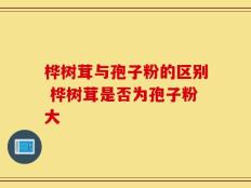 桦树茸与孢子粉的区别 桦树茸是否为孢子粉大