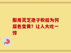 服用灵芝孢子粉后为何尿色变黄？让人大吃一惊