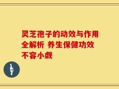 灵芝孢子的动效与作用全解析 养生保健功效不容小觑